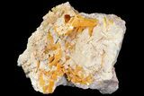 Windowpane Wulfenite Crystal Cluster - Mexico #163160-3